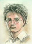 Portrait d'Harry Potter.